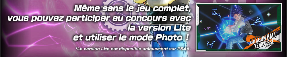 Même sans le logiciel, vous pouvez participer au concours avec la version Lite ! Et utiliser le mode photo aussi !